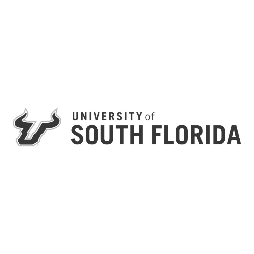 University of South Florida