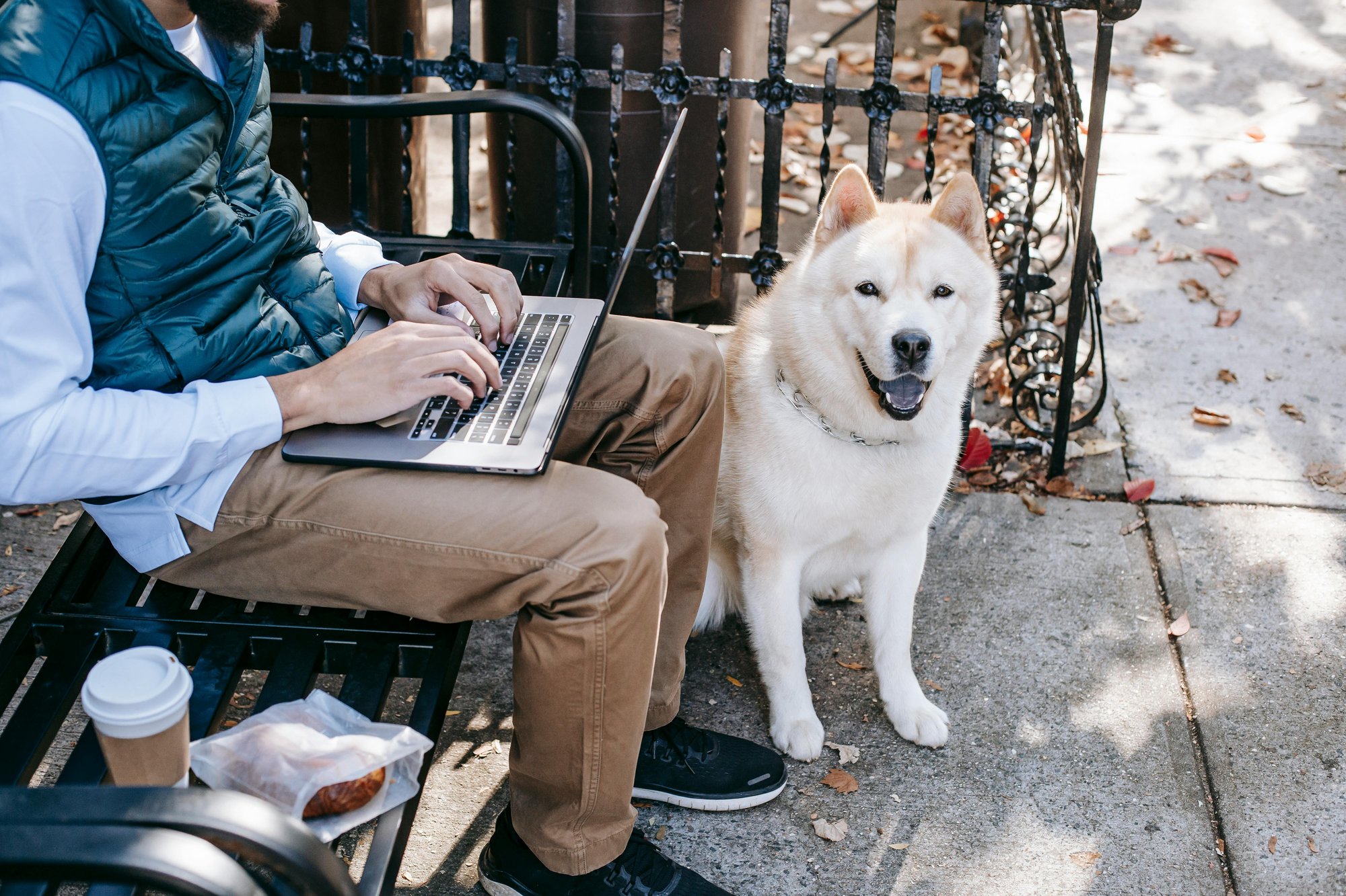 Working with Pet 1